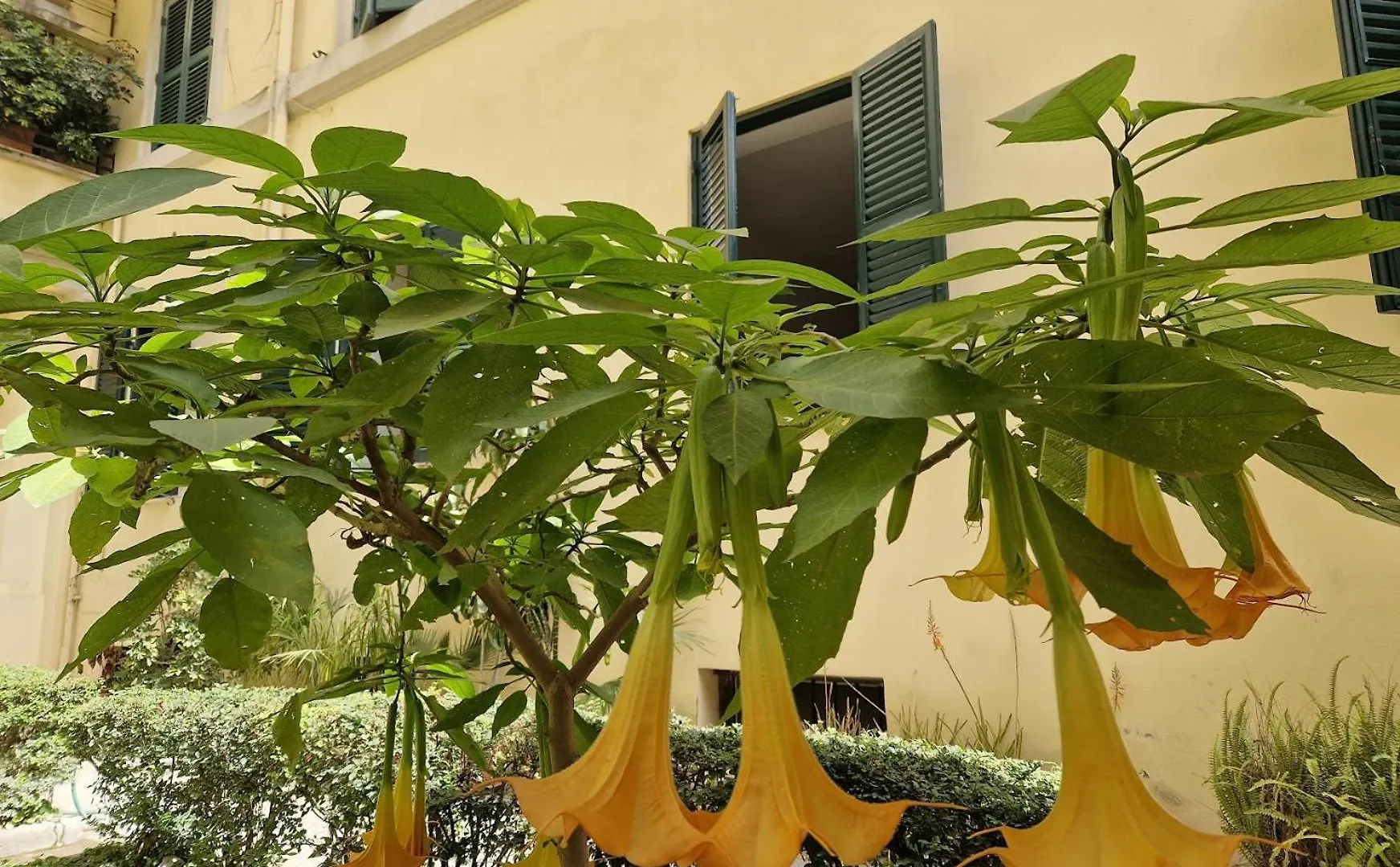 Home Rome Borsieri Italy