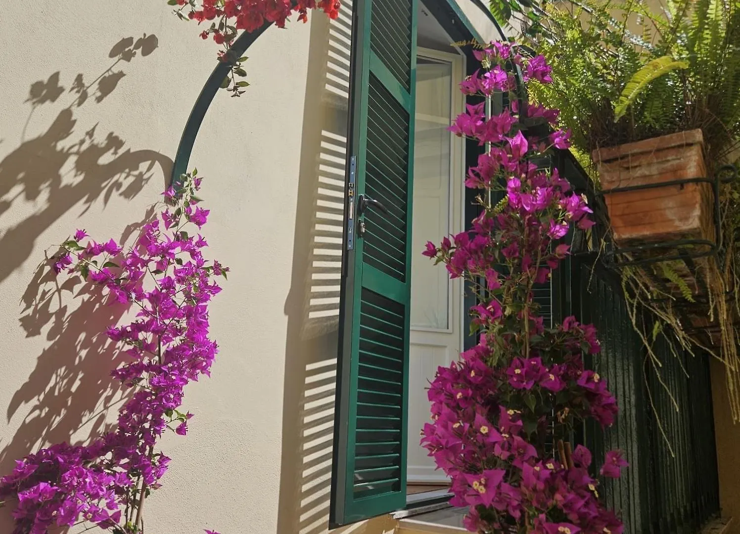 Home Rome Borsieri Italy